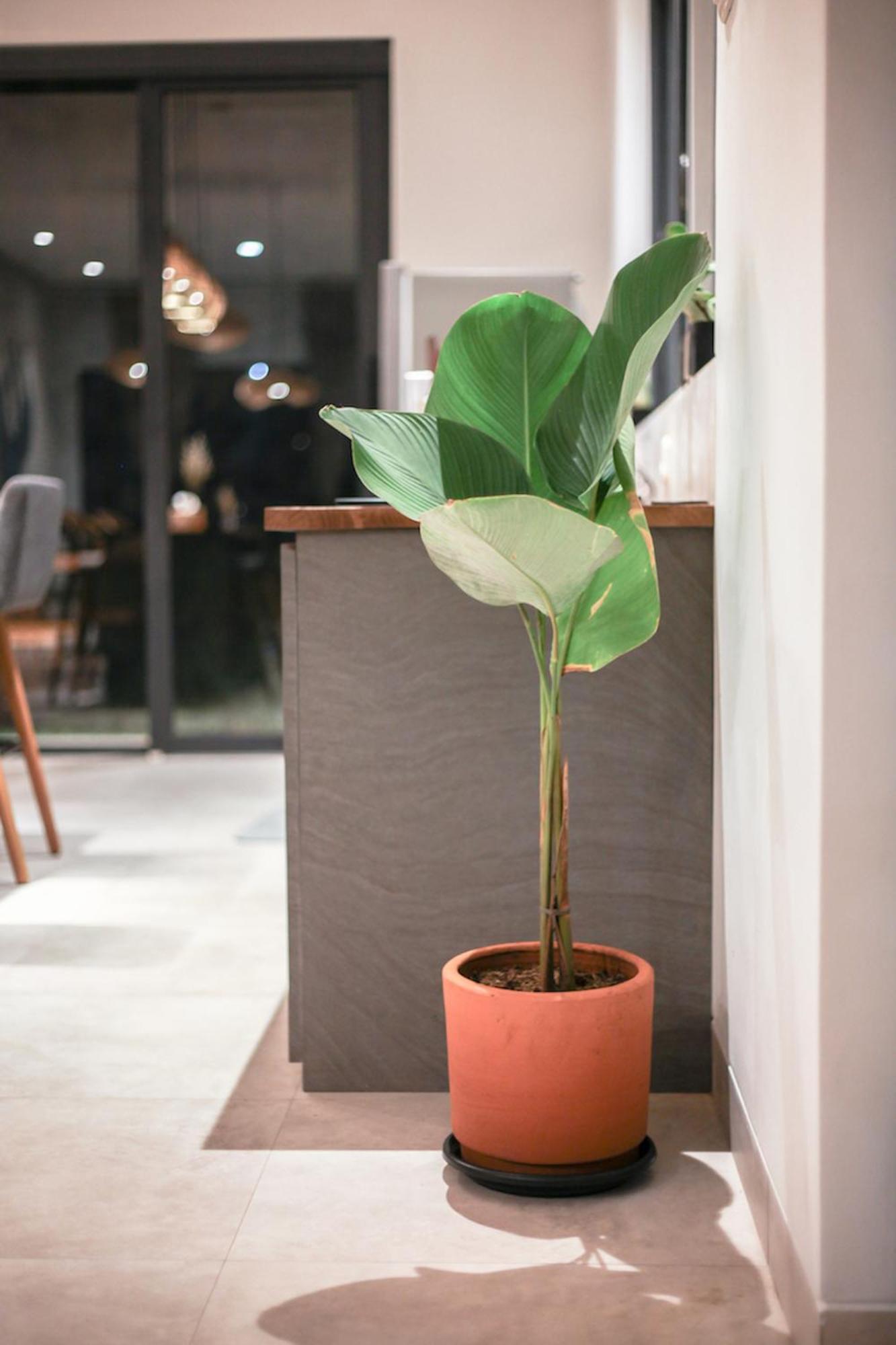 The Banyu House 3 Villa Bandung Ngoại thất bức ảnh